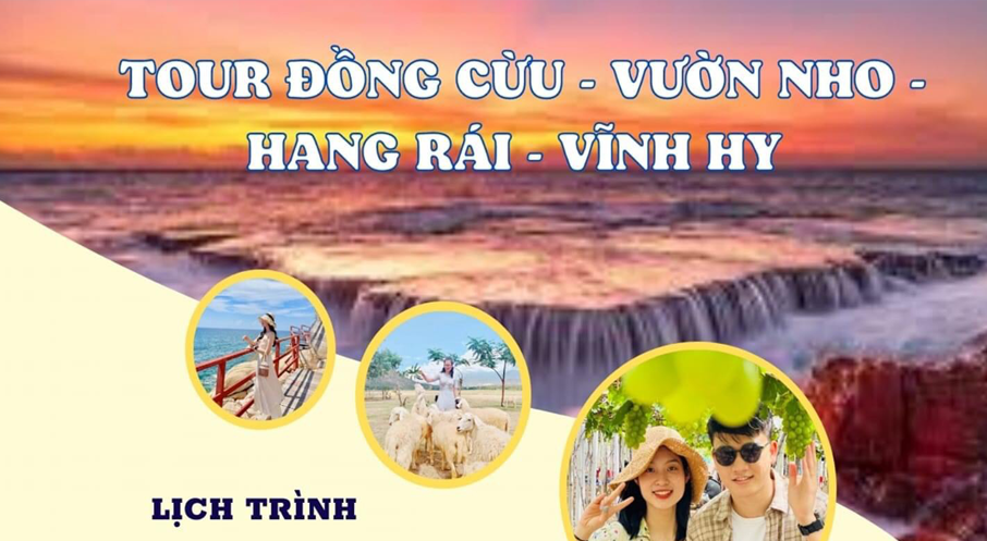 Tour Đồng Cừu - Vườn Nho - Hang Rái - Vĩnh Hy
